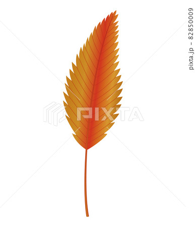 Autumn leave. Symbol with watercolor texture, vector illustration. Isolated design element tree leaf. Leave for seasonal greeting card design 82850009