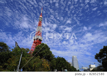 10月　港区935東京タワーと愛宕MORIタワー･芝公園 82852580