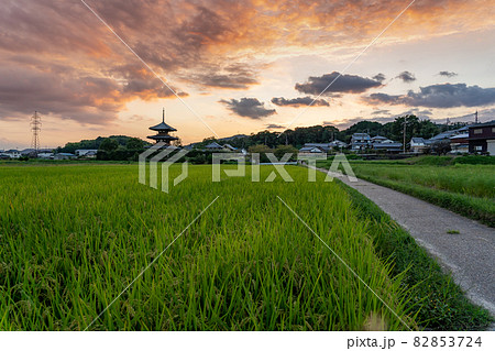 奈良県斑鳩町　世界遺産法起寺の三重塔の見える田んぼと道の夕景 82853724