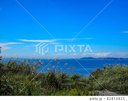 房総半島の秋色 82853815