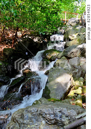 金沢市　本多の森美術の小径 82854923