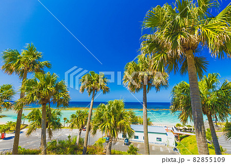 天城町・与名間ビーチ（徳之島） 82855109