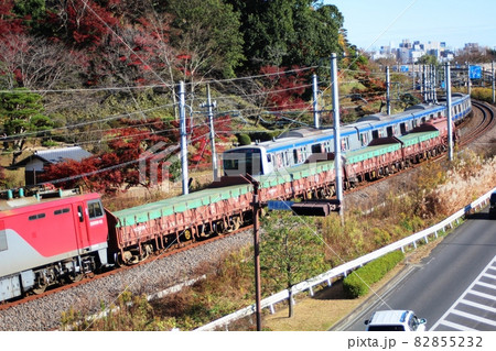 紅葉に彩られる偕楽園を背景にすれ違う電車と貨物列車 紅葉に彩られる偕楽園を背景にすれ違う電車と貨物列車 82855232
