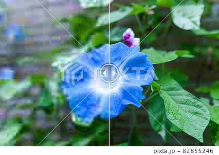 画像修復　補正 82855246