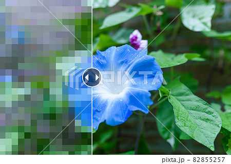 画像修復　補正 82855257