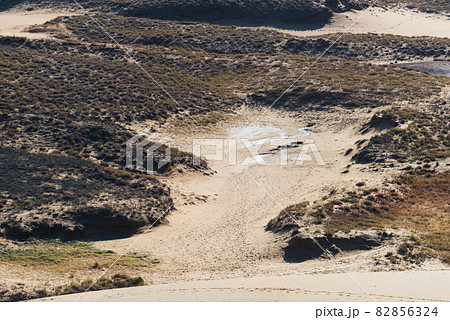 鳥取砂丘の砂模様 82856324
