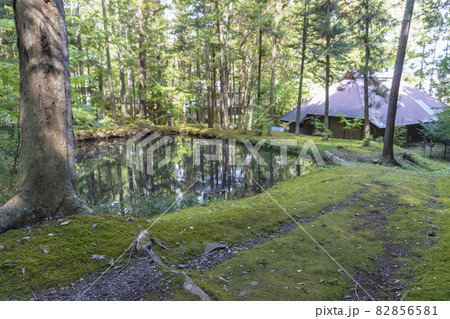 【洞源山貞祥寺】境内にある池／長野県佐久市 82856581