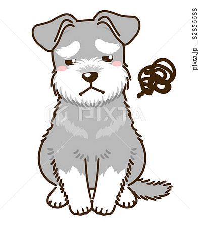 不満があるシュナウザー ソルトペッパー のイラスト素材 8566