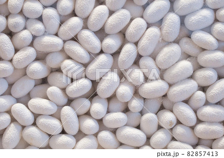 たくさんの繭玉 82857413