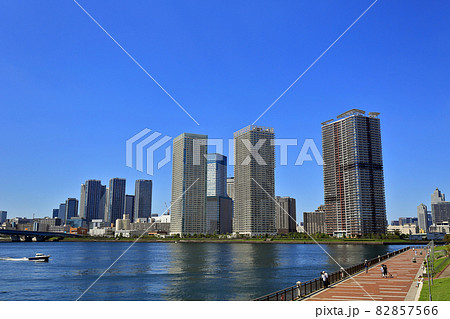 東京 江東区 晴海、豊洲の都市風景 マンション郡 東京 江東区 晴海、豊洲の都市風景 マンション郡 82857566