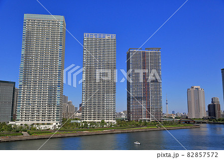 東京 江東区 晴海、豊洲の都市風景 マンション郡 東京 江東区 晴海、豊洲の都市風景 マンション郡 82857572