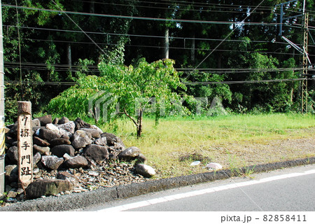 長篠城の搦手門趾(愛知県新城市) 長篠城の搦手門趾(愛知県新城市) 82858411