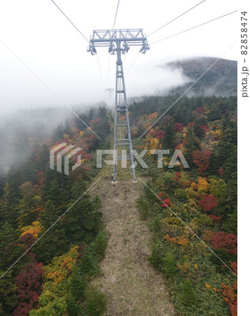 紅葉　黄葉　蔵王 82858474