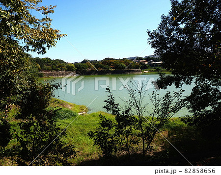 秋晴れの福山市春日池公園 82858656