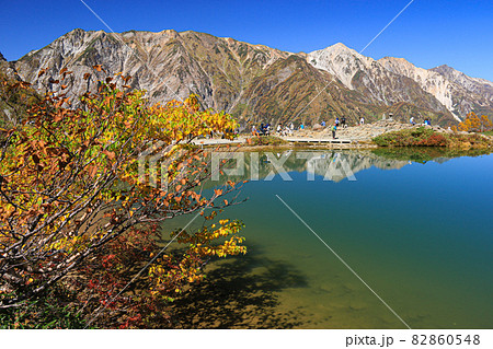 北アルプス 八方尾根 八方池と後立山連峰(天狗尾根、白馬三山) 北アルプス 八方尾根 八方池と後立山連峰(天狗尾根、白馬三山) 82860548