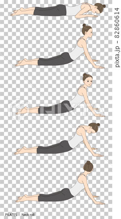 Pilates sequence, Neck roll - Stock Illustration [82860614] - PIXTA