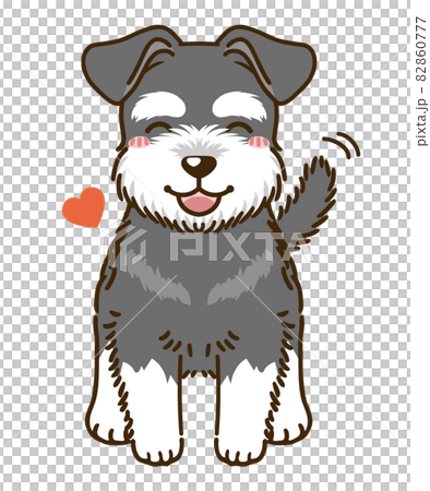 Natsuki 雪納瑞 (黑銀) 82860777