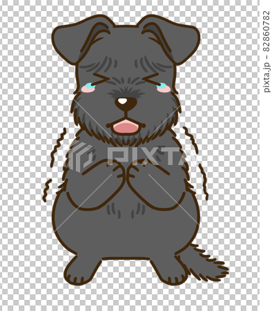Frightened schnauzer (black) 82860782