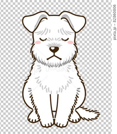 落ち込むシュナウザー 白 のイラスト素材