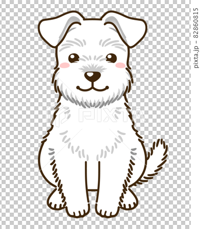 雪納瑞犬（白色） 82860815