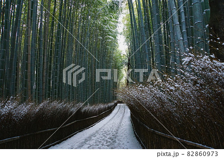 京都嵯峨野の竹林の小径の雪景色 82860973