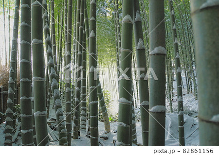 京都嵯峨野の竹林の小径の雪景色 京都嵯峨野の竹林の小径の雪景色 82861156