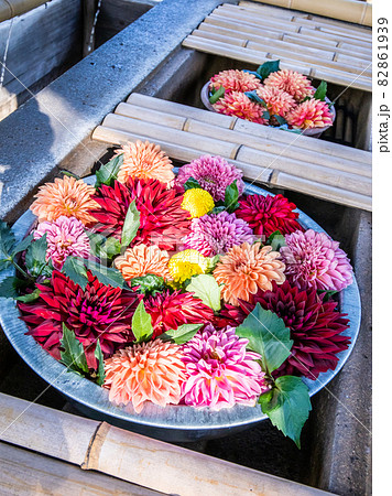 秋の花手水 82861939