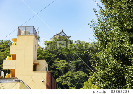 宇和島市街から見た宇和島城 宇和島市街から見た宇和島城 82862283