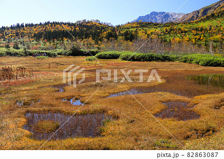 北アルプスの秋 紅葉の栂池自然園トレッキング 北アルプスの秋 紅葉の栂池自然園トレッキング 82863087