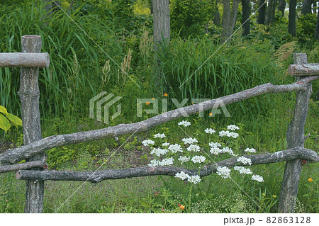 オルレア 82863128