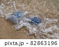 jellyfish on the sandy seashore jellyfish on the sandy seashore 82863196