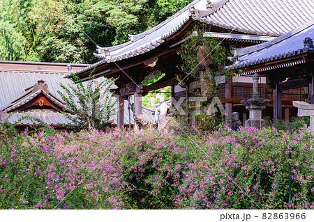萩の寺　最明寺 82863966