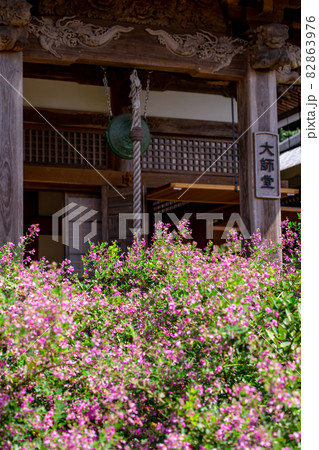 萩の寺 最明寺 萩の寺 最明寺 82863976