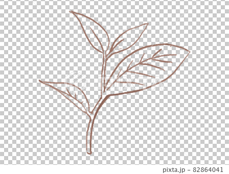 簡單的葉線描圖 82864041