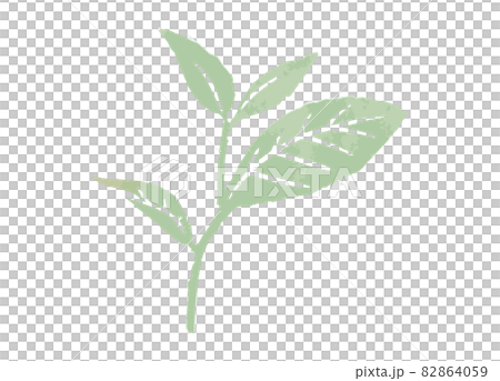 シンプルな葉っぱのイラスト 82864059