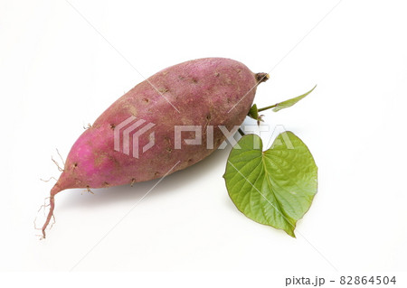 さつま芋（紅はるか） 82864504