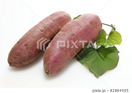 さつま芋(紅はるか) さつま芋(紅はるか) 82864505