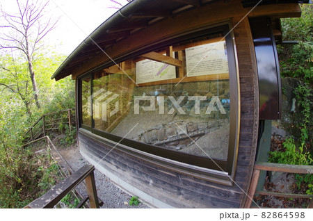 信州 松本 クジラ化石 保存施設俯瞰 県天然記念物指定 発見されたまま現地保存されている化石 信州 松本 クジラ化石 保存施設俯瞰 県天然記念物指定 発見されたまま現地保存されている化石 82864598