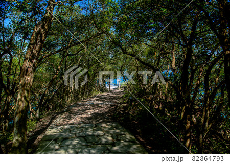 屋島北嶺 遊鶴亭展望台 82864793