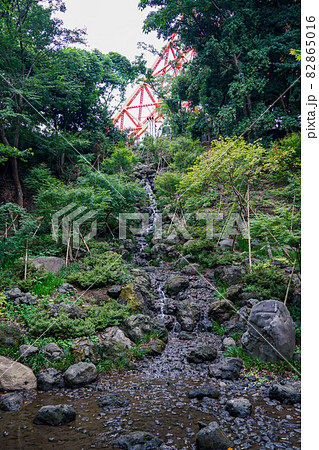 東京タワー直下の都立芝公園「もみじ谷」(東京都港区) 東京タワー直下の都立芝公園「もみじ谷」(東京都港区) 82865016