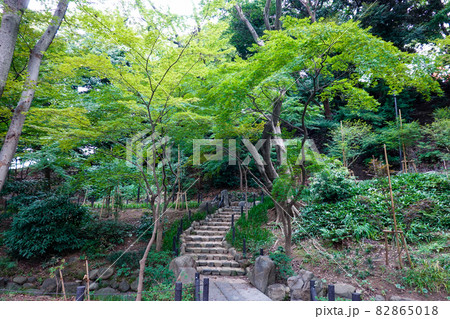 東京タワー直下の都立芝公園「もみじ谷」(東京都港区) 東京タワー直下の都立芝公園「もみじ谷」(東京都港区) 82865018