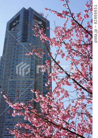 新宿のビルと桜の花の都心の風景 新宿のビルと桜の花の都心の風景 82866651