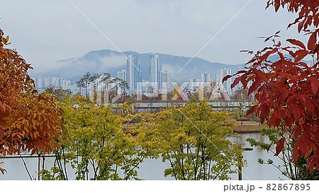 紅葉 秋 風景 82867895