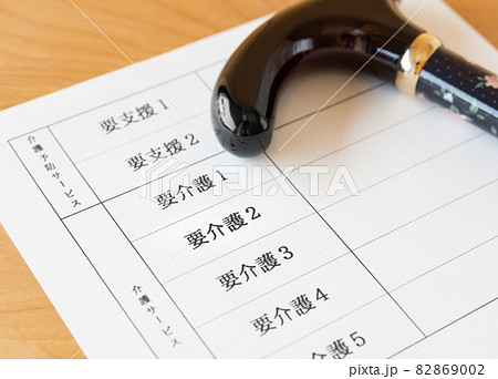要介護認定 介護保険制度 要介護認定 介護保険制度 82869002