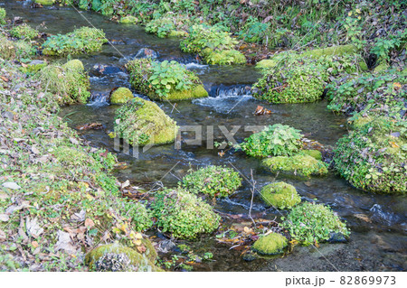 山奥の清流 82869973