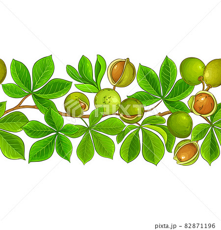 mongongo vector pattern on white background 82871196