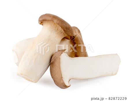 King oyster mushroom Pleurotus eryngii isolated on white background King oyster mushroom Pleurotus eryngii isolated on white background 82872229