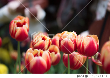 四月 ４月 4月 82874124