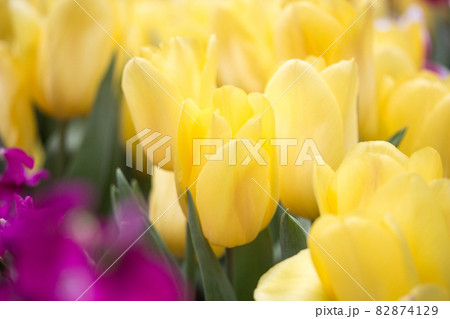 四月 ４月 4月 82874129