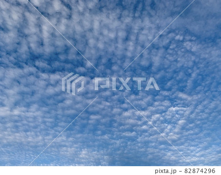青空いっぱいに広がるいわし雲のような雲/The clouds in the sky 青空いっぱいに広がるいわし雲のような雲/The clouds in the sky 82874296